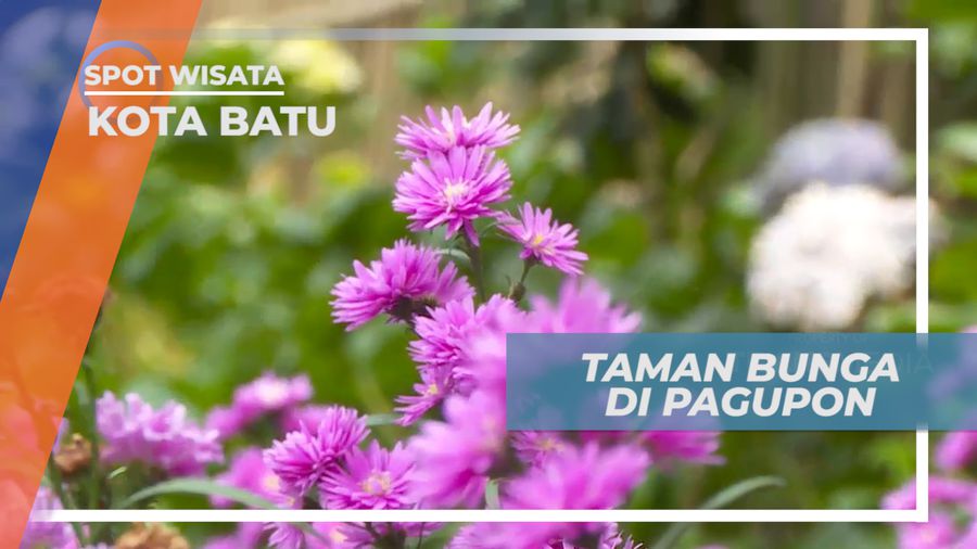 Berkunjung ke Taman Bunga Pagupon Kota Batu