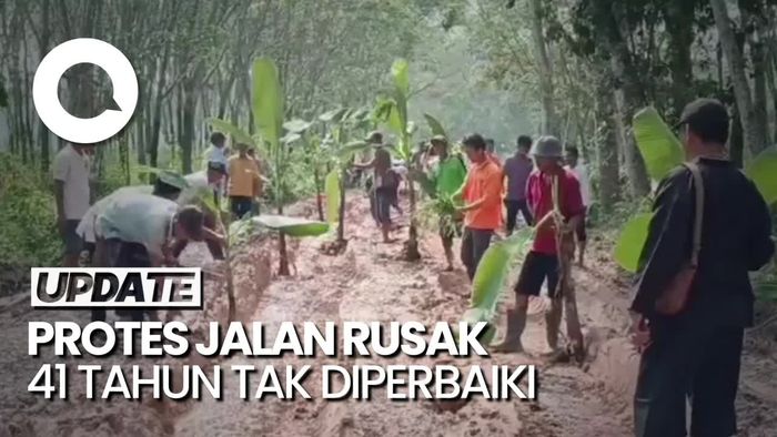 41 Tahun Jalan Tak Diperbaiki, Warga Lampung Tanam Pohon Pisang