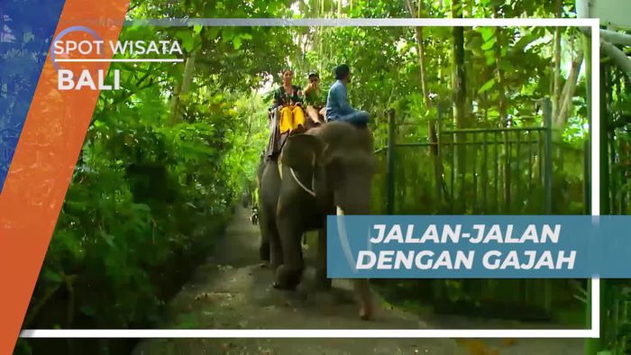 Jalan-jalan Santai Bersama Gajah di Mason Elephant Park Bali