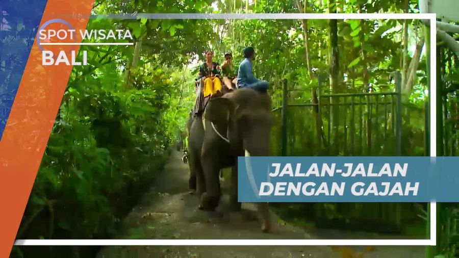 Jalan-jalan Santai Bersama Gajah di Mason Elephant Park Bali