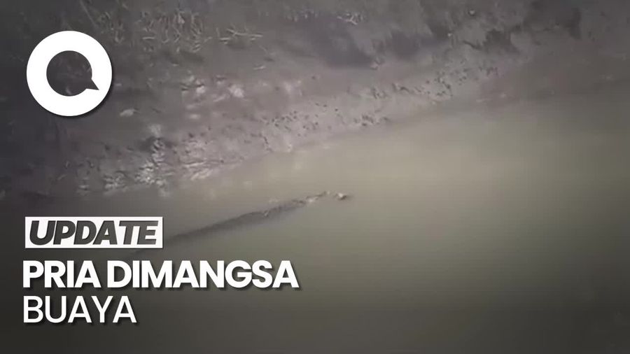 Penampakan Buaya Diduga Mangsa Pria di Sungai Cilemer Pandeglang