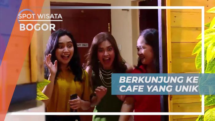 Berkunjung ke Cafe Unik Dengan Banyak Kucing Lucu, Bogor
