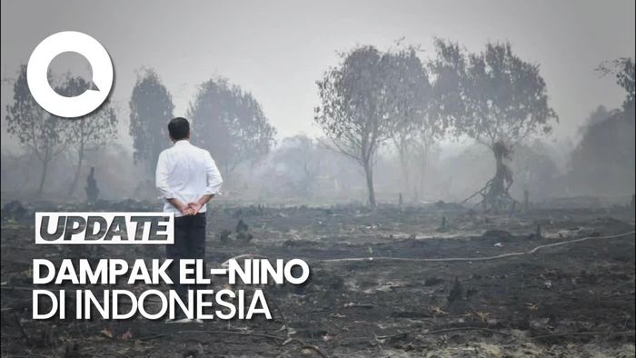 BMKG: Jika Tak Bersiap, Dampak El-Nino Mirip Karhutla Riau 2019