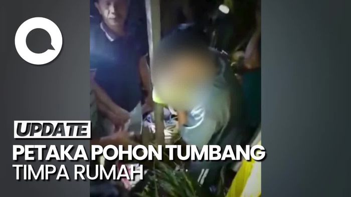 Pohon Kelapa Tumbang Timpa Rumah di Gorontalo, Bayi 2 Bulan Tewas