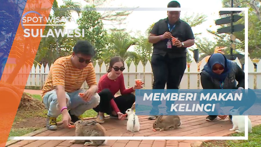 Isi Akhir Pekan, Berinteraksi dan Memberi Makan Kelinci Lucu Menggemaskan, Jakarta
