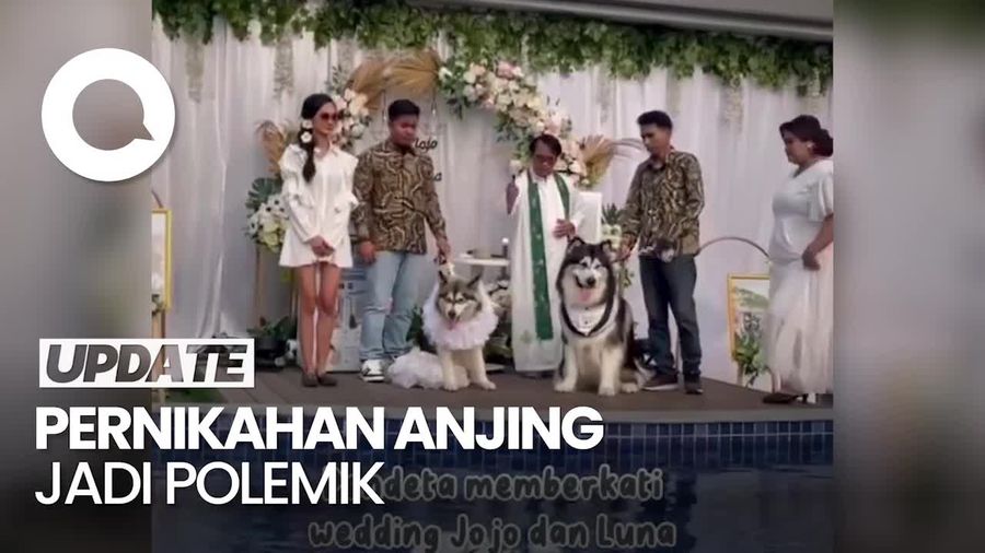 Kecewa Betul Dinas Kebudayaan DIY atas Pernikahan Anjing Adat Jawa