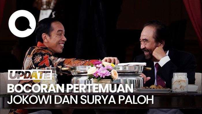 Jokowi Ungkap Pertemuan dengan Surya Paloh: Bahas 2024