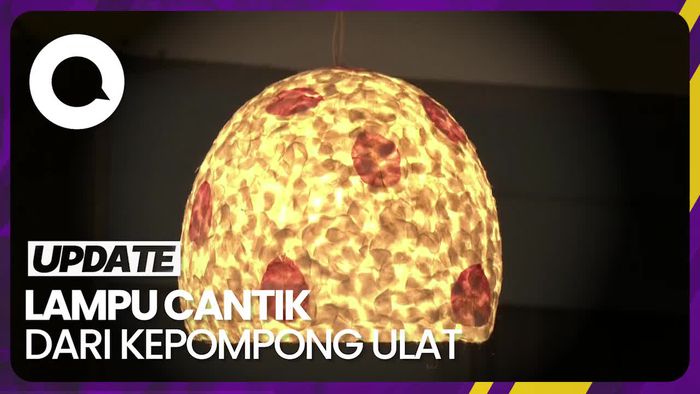 Kepompong Ulat Sutra Diubah Jadi Lampu Hias