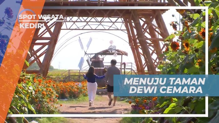 Mengunjungi Warna-warni Bunga Cantik di Taman Dewi Cemara, Kediri