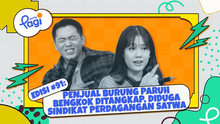 Penjual Burung Paruh Bengkok Ditangkap, Diduga Sindikat Perdagangan Satwa Langka