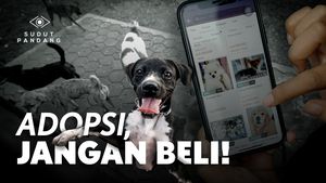 Sisi Gelap Bisnis Jual-Beli Anjing