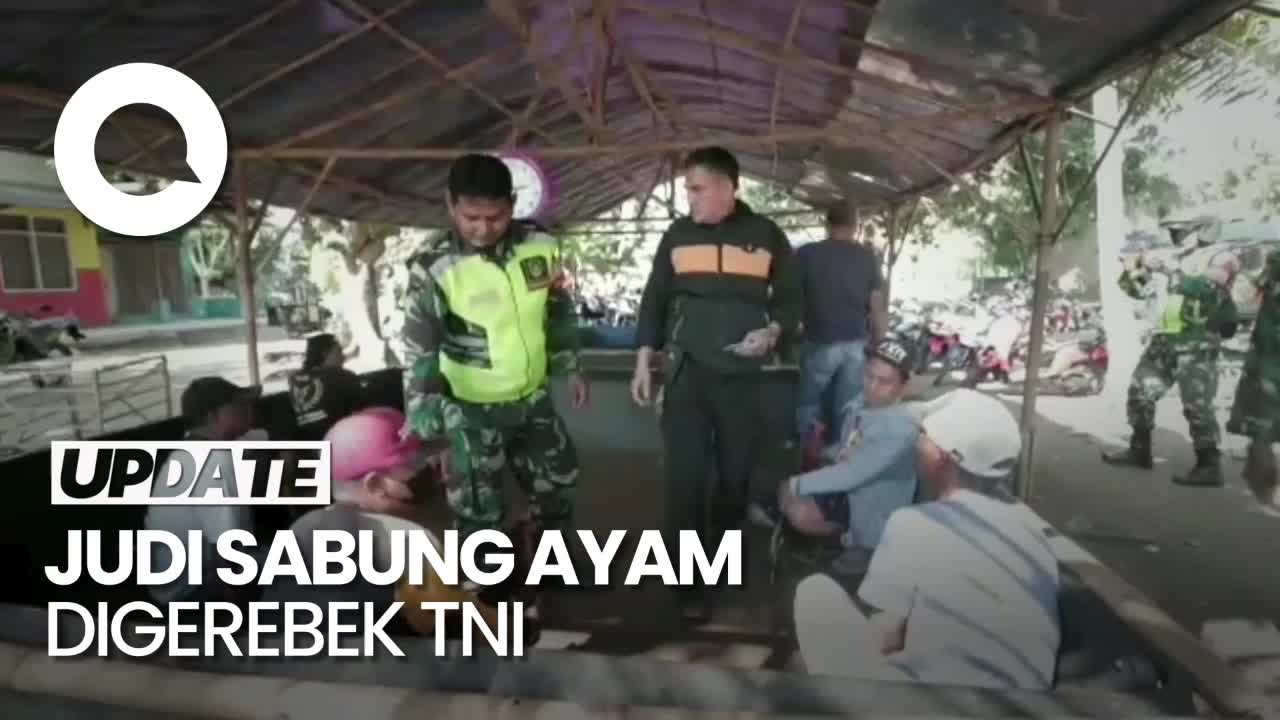 Detik-detik Pejudi Sabung Ayam di Karawang Kocar-kacir Digerebek TNI