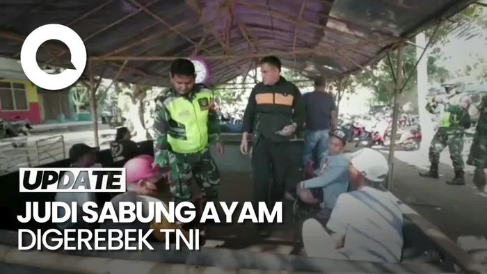 Detik-detik Pejudi Sabung Ayam di Karawang Kocar-kacir Digerebek TNI