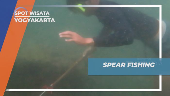 Mencoba Serunya Teknik Berburu Ikan Spear Fishing, Yogyakarta