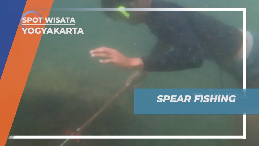 Mencoba Serunya Teknik Berburu Ikan Spear Fishing, Yogyakarta