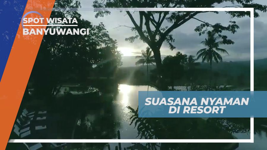 Suasana Alami Resort Mewah Dengan Pemandangan Sawah yang Indah, Banyuwangi