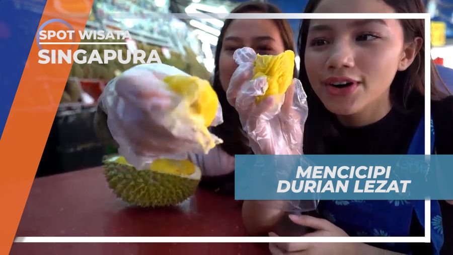 Menikmati Cita Rasa Durian Musang King Singapura