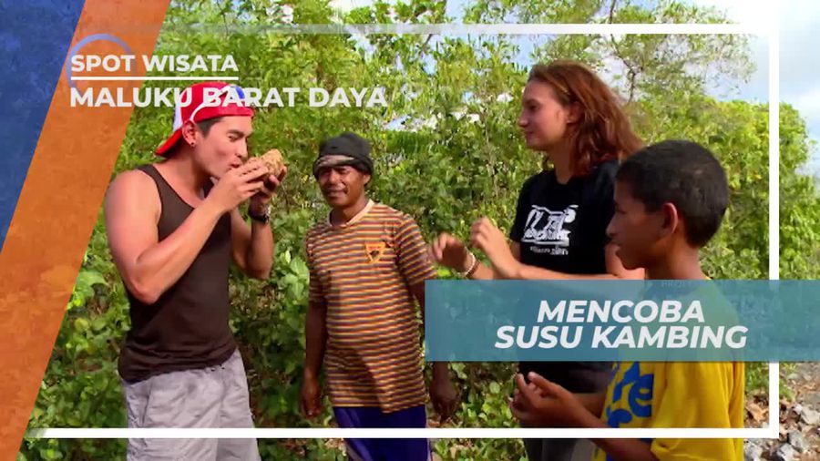 Momen Seru Mencicipi Susu Kambing di Pantai Sera Maluku Barat Daya