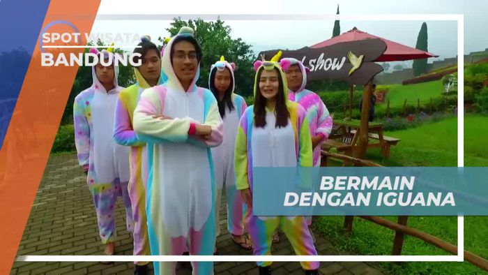 Keseruan Bermain Dengan Iguana di Happy Farm Bandung