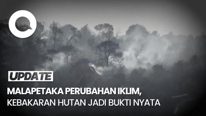 Panas Ekstrem Kemungkinan Terjadi Tiap 2 hingga 5 Tahun Sekali 