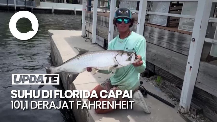 Suhu Ekstrem di Florida, Ikan-ikan Laut Mati Mengambang