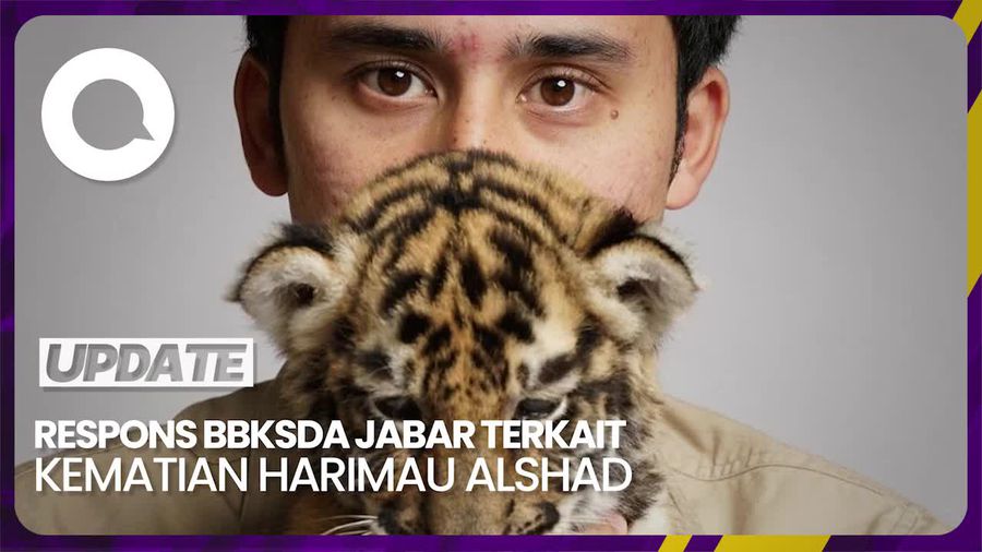 4 Poin dari BBKSDA Jabar soal Heboh Anak Harimau Alshad Mati Lagi