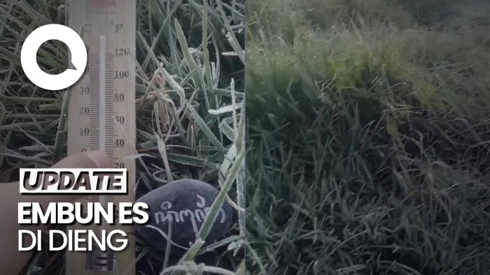 Penampakan Embun Es di Dieng, Suhu Minus 3,5 Derajat Celcius!