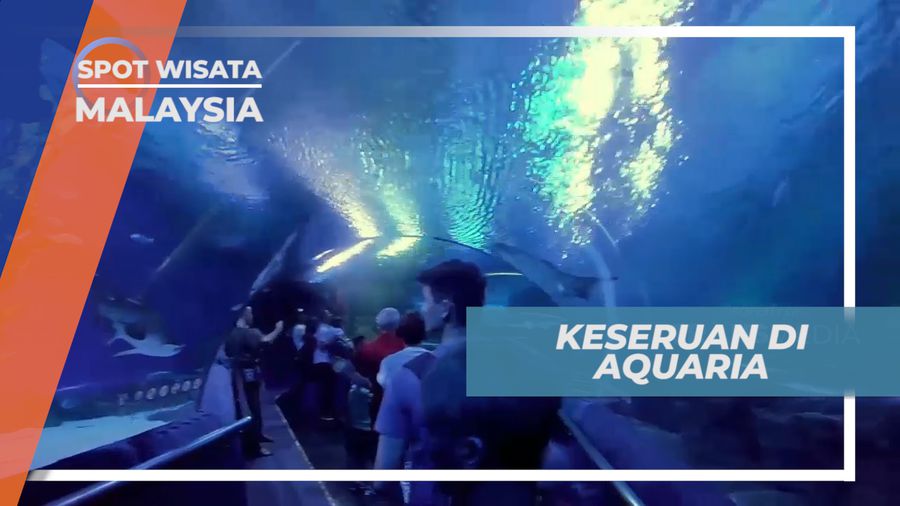 Melihat Beragam Ikan Langka di Terowongan Panjang Dari Kaca, Malaysia