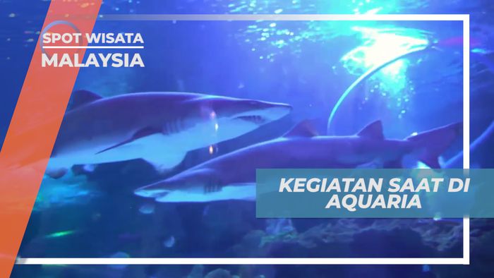 Habiskan Waktu di Destinasi Wisata Aquarium di Tengah Kota Kuala Lumpur, Malaysia