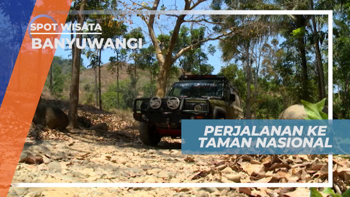 Menikmati Perjalanan Darat Menuju Taman Nasional Merubetiri, Banyuwangi