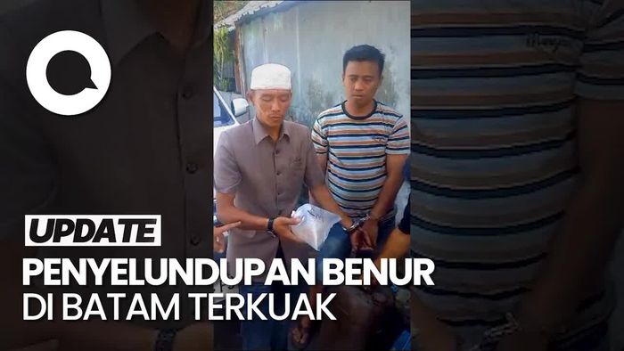Detik-detik Penyelundupan 5.500 Benur di Batam Digagalkan
