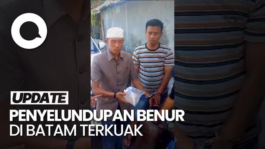 Detik-detik Penyelundupan 5.500 Benur di Batam Digagalkan