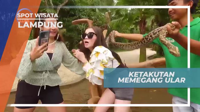 Sensasi Menegangkan Menyentuh Ular di Taman Satwa Lampung