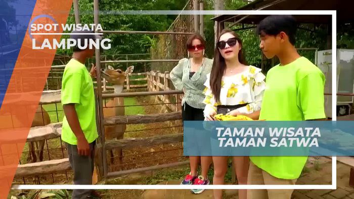 Melihat Dari Dekat Aneka Satwa di Taman Satwa Lampung
