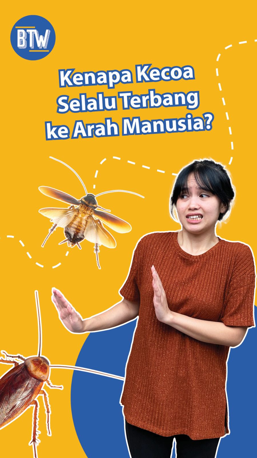 Kenapa Kecoak Suka Terbang ke Arah Kita?