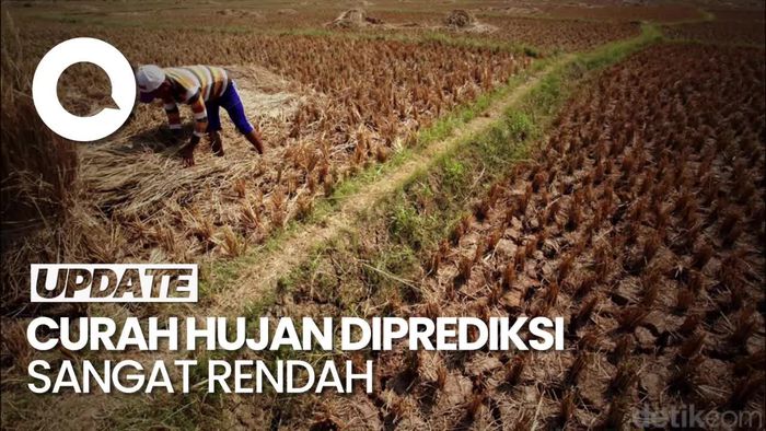 Waspada! Pertanian Jadi Sektor Paling Terdampak Perubahan Iklim