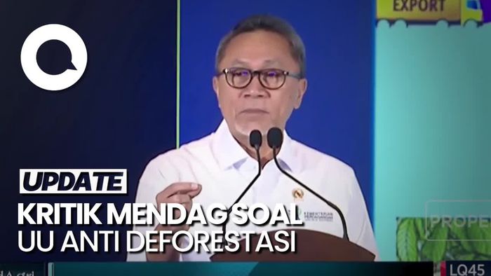 Mendag Kritik Keras UU Anti Deforestasi ke Uni Eropa: Diskriminatif!
