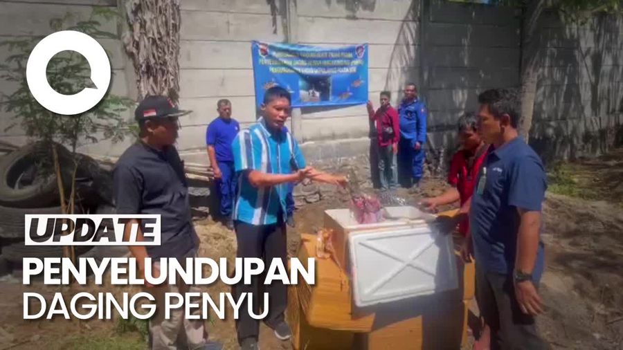 Polisi Gagalkan Penyelundupan 300 Kg Daging Penyu ke Bali