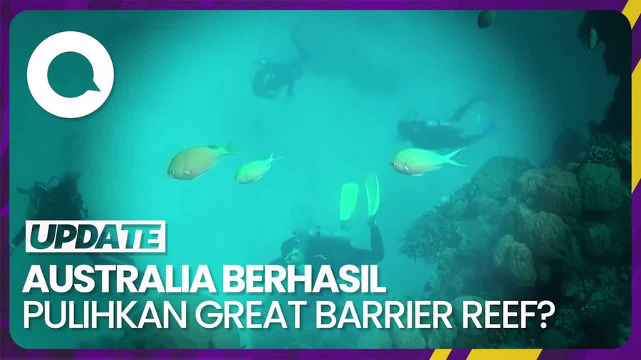 Great Barrier Reef Lepas Status Bahaya UNESCO, Ahli: Naif untuk Merayakannya