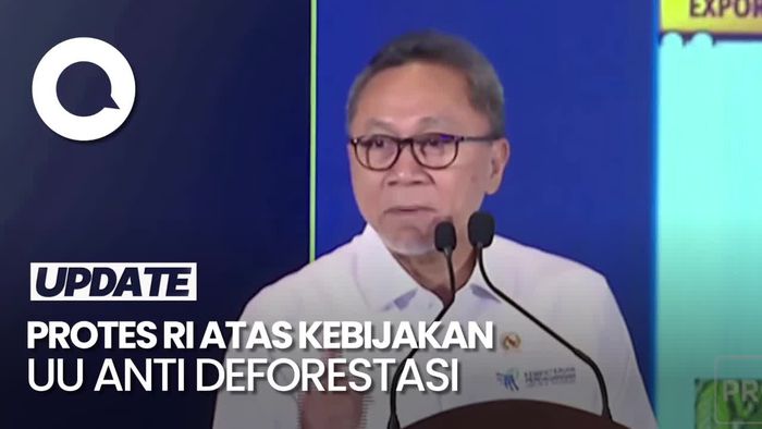 Merasa Dirugikan, RI Ajak 19 Negara Protes Kebijakan UU Anti Deforestasi
