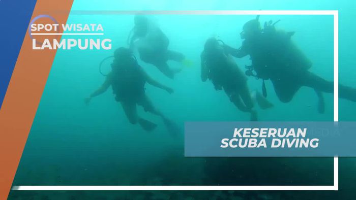 Diving Menikmati Panorama Keindahan Bawah Laut Lampung