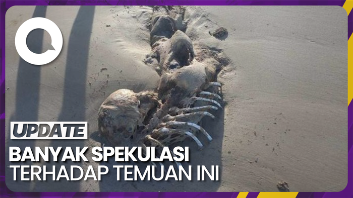 Bikin Gempar! Ditemukan Kerangka Mirip Manusia Setengah Ikan