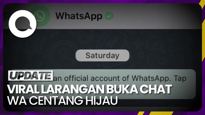 Fakta Chat Akun WA Centang Hijau yang Disebut dari Hacker