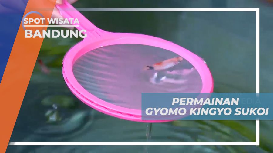 Gyomo Kingyo Sukoi, Adu Cepat Menangkap Ikan Ala Jepang, Bandung