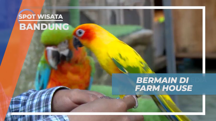 Cekrak-cekrek Berpose Seru Bersama Hewan Lucu di Taman Wisata Satwa, Bandung