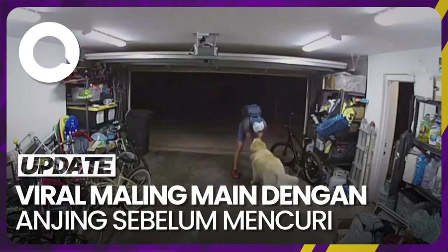 Sempat-sempatnya Maling Ini Main dengan Anjing Sebelum Curi Sepeda