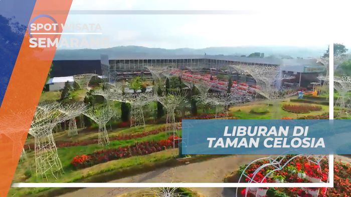 Liburan Seru, Mengujungi Warna-warni Cantik di Taman Wisata Celosia, Semarang