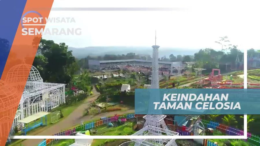 Berkunjung ke Taman Celosia Semarang Dengan Aneka Spot Foto Menarik