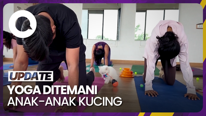 Menghilangkan Stres Lewat Yoga Bersama Anak Kucing Menggemaskan