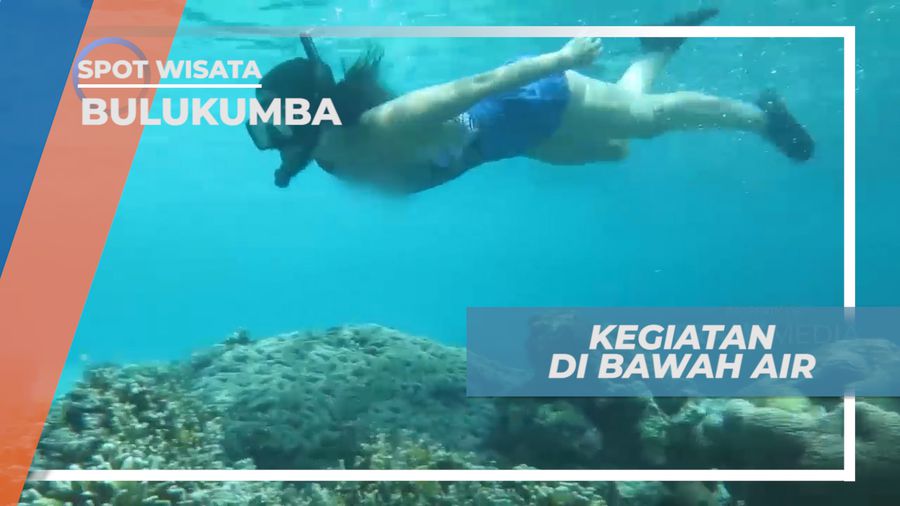Mengintip Indahnya Surga Bawah Laut Pantai Mandala Ria, Bulukumba